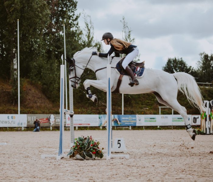 Centre equitation Connantre